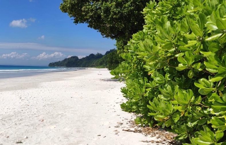 RADHANAGAR BEACH (HAVELOCK ISLAND)